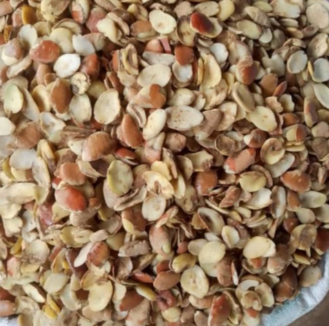 Premium Ador ogbono seeds sorted for export