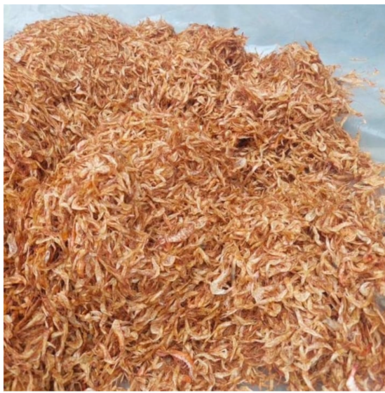 Oron Crayfish